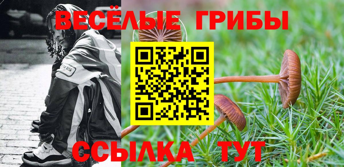 Галлюциногенные грибы Cubensis Кириши