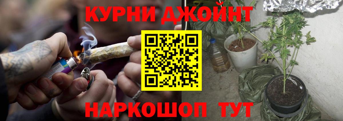 Конопля семена Кириши